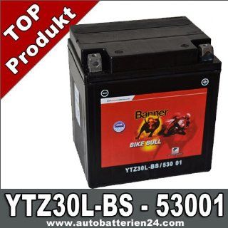 Motorrad Batterie Harley YTZ30L BS AGM GEL 30Ah 12Volt 53001 Banner: Auto