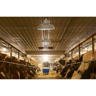 Canarm Ceiling/Wall Barn Light — 14in. Dia., 120 Volts, 300 Watts, Model# BL14CW  Indoor   Outdoor Lighting