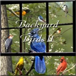Naturescapes Music Backyard Birds II   Shopping   Great