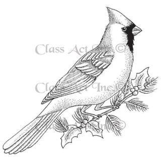 Class Act Cling Mounted Rubber Stamp 4 X5.75   Large Cardinal