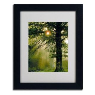 Trademark Fine Art 11 in. x 14 in. Magical Tree Matted Framed Art KM0272 B1114MF