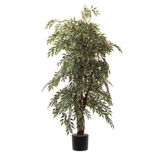 Vickerman 6 ft. Smilax Variegated Executive Silk Tree   Silk Trees and Palms