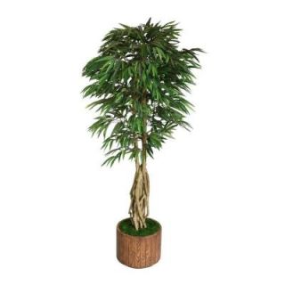 Laura Ashley 83 in. Tall Willow Ficus with Multiple Trunks in 16 in. Fiberstone Planter VHX109202