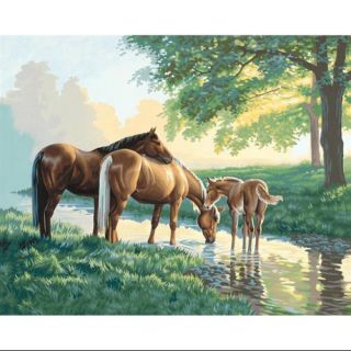Paint By Number Kit 20"X16" Horses By A Stream