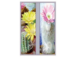 Buy Enlarge 0 587 10289 6P12x18 Flower, Cactus, and Flower  Paper Size P12x18