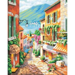 Paint By Number Kit 20"X16" Village Steps