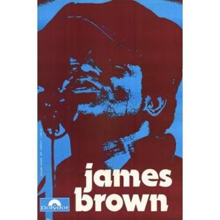 James Brown Movie Poster (11 x 17)