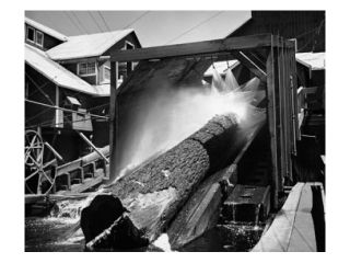 Log being washed in a sawmill, California, USA Poster Print (18 x 24)