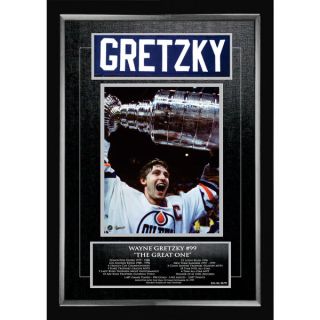 Wayne Gretzky Career Collectible   Museum Framed   Ltd Ed of 99