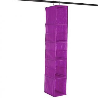 JOY Huggable Hangers® 5 Shelf Hanging Multi Organizer   Brass   7427928