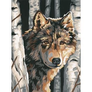 Dimensions Wolf Birch Paint By Number   Home   Crafts & Hobbies
