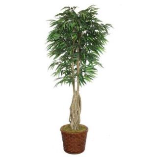 Laura Ashley 83 in. Tall Willow Ficus with Multiple Trunks in 17 in. Fiberstone Planter VHX109206