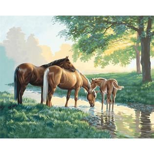 PaintWorks Paint By Number Kit 20 in X 16 in  Horses By A Stream
