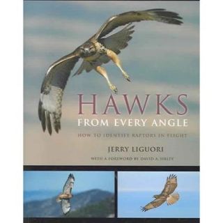 Hawks from Every Angle: How to Identify Raptors in Flight