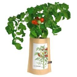 Mini Tomato Garden in a Bag  ™ Shopping