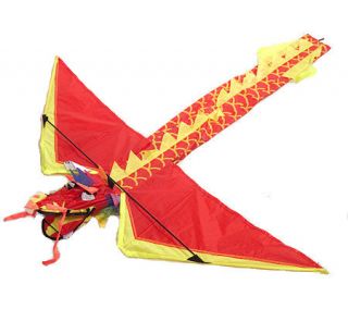 Fiery Dragon 3 Dimensional Nylon Kite —