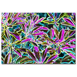 Trademark Fine Art Tropical Neon by Kathie McCurdy Graphic Art on