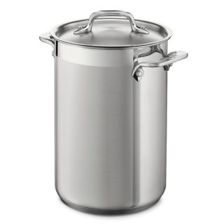All Clad Stainless Steel 3.75 qt. Asparagus Multi Pot with Insert