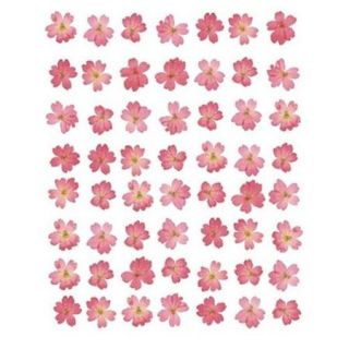 Eight Lines of Pink Flowers Poster Print by Tasmin Phoenix (16 x 20)
