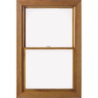 ProLine 450 Series Wood Double Pane Annealed New Construction Double Hung Window (Rough Opening: 36.25 in x 38.25 in Actual: 35.5 in x 37.5 in)