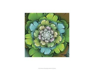 Fractal Blooms I Poster Print by James Burghardt (13 x 19)