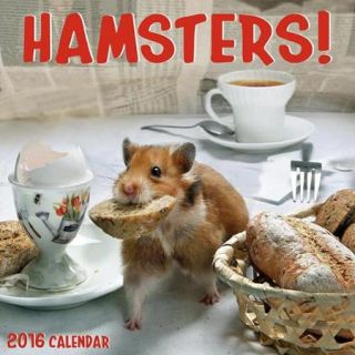 Hamsters 2016 Wall Calendar
