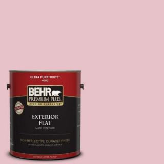 BEHR Premium Plus 1 gal. #S140 2 Cranapple Cream Flat Exterior Paint 405001