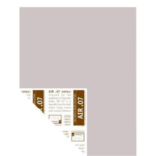 YOLO Colorhouse 12 in. x 16 in. Air .07 Pre Painted Big Chip Sample 221178