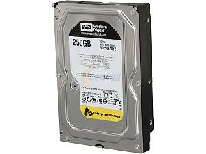 WD RE WD2503ABYZ 250GB 7200 RPM 64MB Cache SATA 6.0Gb/s 3.5" Datacenter Capacity Internal Hard Drive Bare Drive