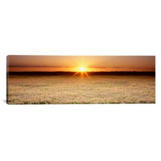 Panoramic Rice Field, Sacramento Valley, California Photographic Print