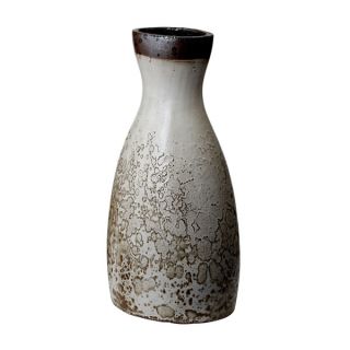 Dimond Home Rustic White Watering Jug (Large)   17560810  