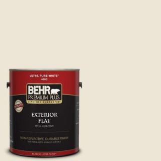 BEHR Premium Plus 1 gal. #PWN 61 Oriental Silk Flat Exterior Paint 405001