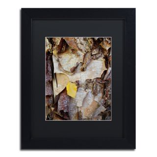 Kurt Shaffer Paper Birch Abstract Framed Matted Art   16976564