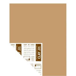 YOLO Colorhouse 12 in. x 16 in. Clay .01 Pre Painted Big Chip Sample 221215