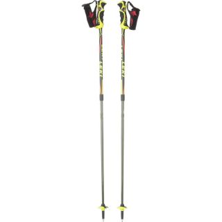 Ski Poles   Downhill & Cross Country