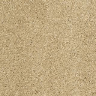 STAINMASTER TruSoft Luscious I (S) Honey Textured Indoor Carpet