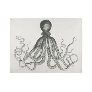 Thomas Paul Octopus Graphic Art on Canvas