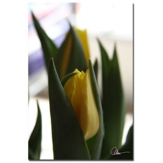 Tulips VI by Martha Guerra Photographic Print on Canvas