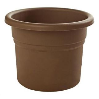 Bloem 6 in. Curated Posy Plastic Planter (18 Pack) PP0618 18