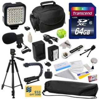 Advanced Kit for Panasonic SD40, SD60, SD80, SD90, SDX1, S45, S50, S70, M60, TM80, TM90, HS40 Camcorder with 64GB Memory Card, VW VBK180 Battery, Charger, Carrying Case, Tripod, Action Handle and More