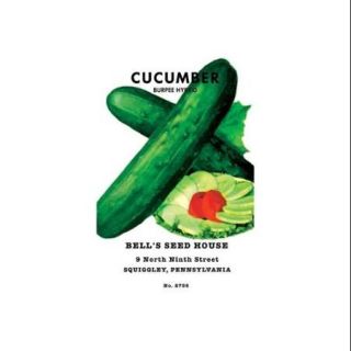 Cucumber: Burpee Hybrid Print (Unframed Paper Poster Giclee 20x29)