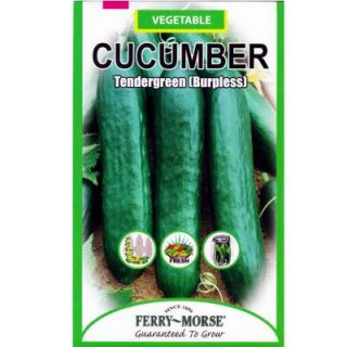 Ferry Morse Tendergreen Burpless Cucumber Seed 1282