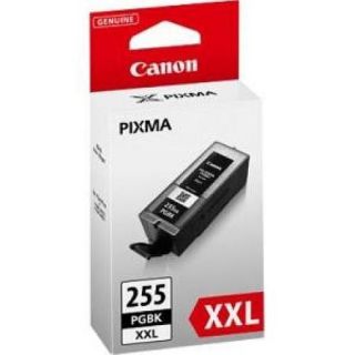 Canon PGI 255 PGBK XXL Ink Cartridge   Pigment Black