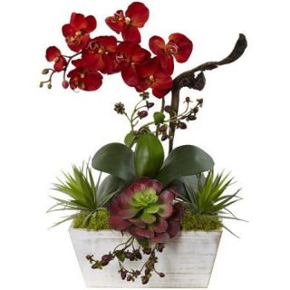 Nearly Natural Seasonal Orchid and Succulent Garden Wash Planter