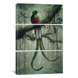 iCanvas Harro Maass Resplendent Quetzal 2 3 Piece on Wrapped Canvas