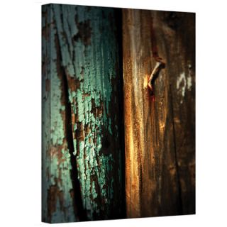Art Wall Fall Lights by Mark Ross Photographic Print on Canvas