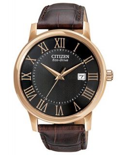 Citizen Watch, Mens Eco Drive Brown Leather Strap 40mm BM6759 03E